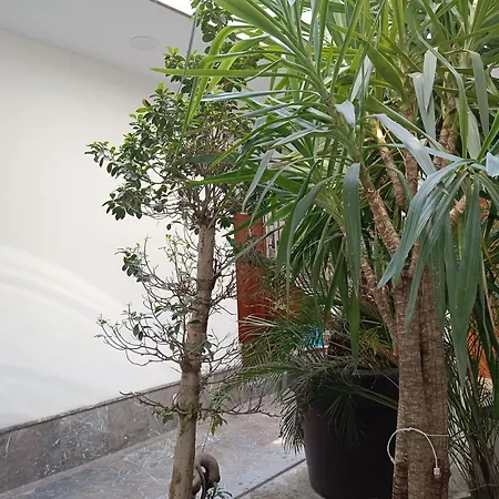 Apartamento Luxury Puente De Triana